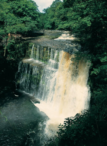 Waterfall